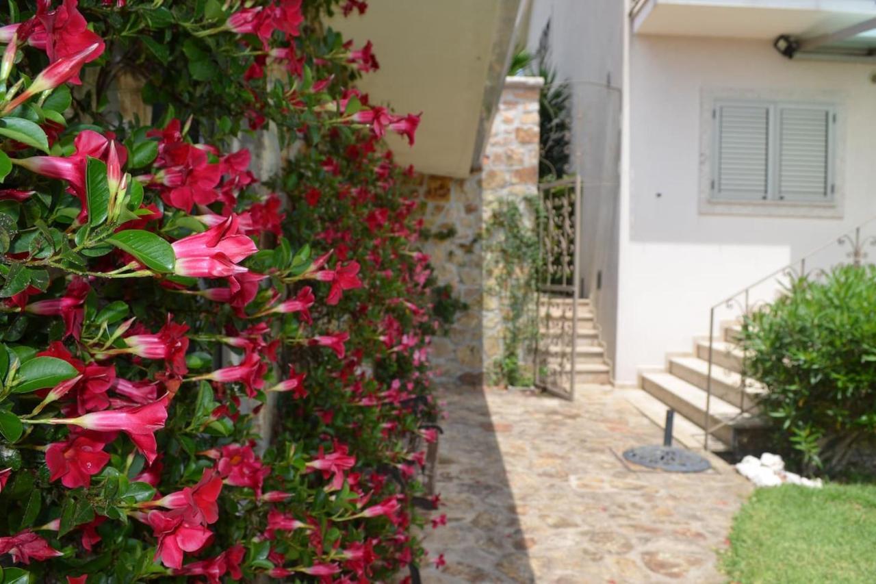 Valadas Guest House Canedo  エクステリア 写真