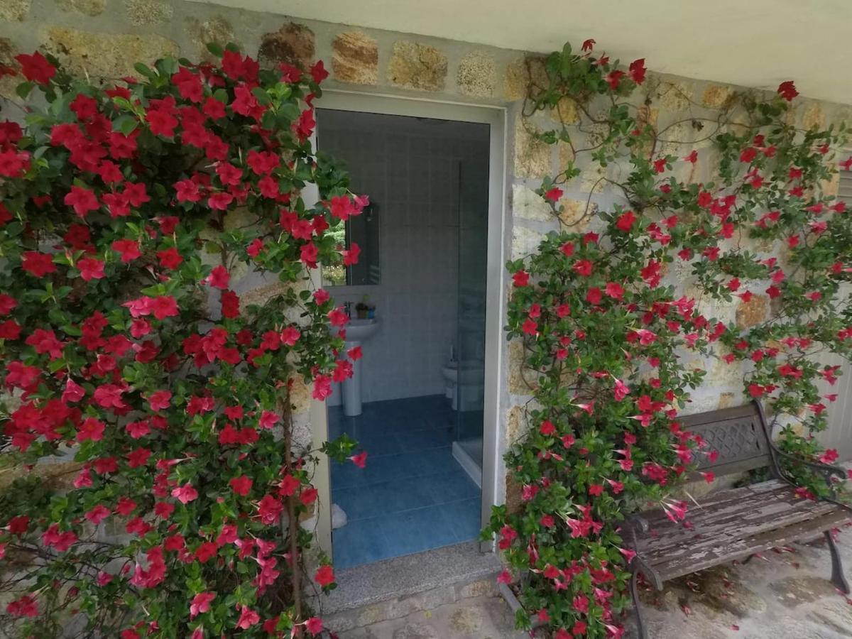 Valadas Guest House Canedo  エクステリア 写真
